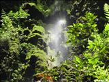 Rio Camuy Cave Park - CAMUY